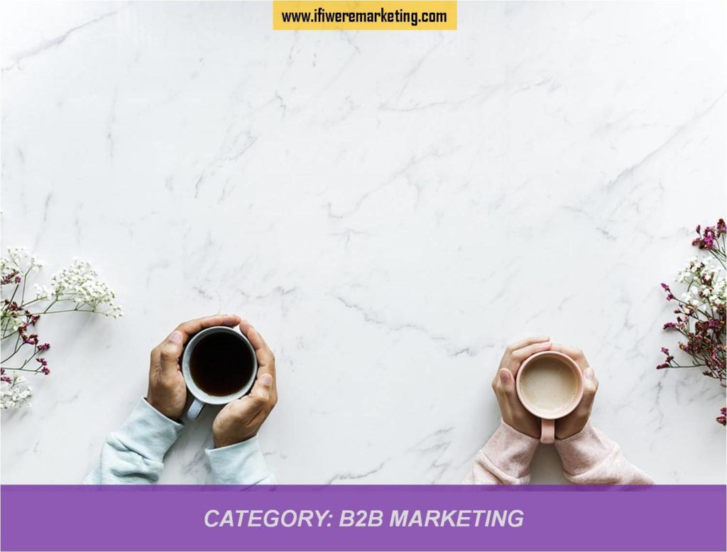 category-b2b marketing-www.ifiweremarketing.com- 1
